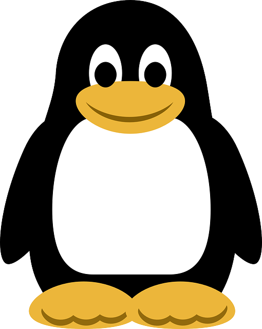 **MenuetOS vs. Linux: Porównanie architektury, wydajności i zastosowań** - 3 2025