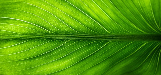 **"Zero Waste Beauty Tech: Czy inteligentne dozowniki kosmetyków zminimalizują zużycie plastiku w łazience?"** - 3 2025
