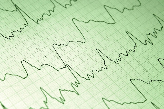 **”Generowanie energii z roślin: Bioelektryczność jako alternatywne źródło zasilania w survivalu”**