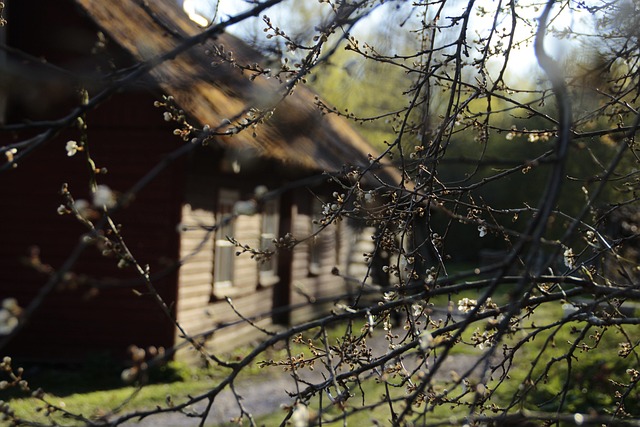 **”Zasilanie Off-Grid dla Wędrowców: Porównanie Generatorów Termoelektrycznych i Paneli Słonecznych w Warunkach Ekstremalnych”**