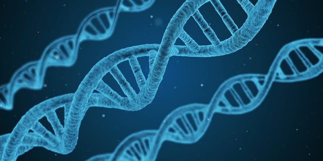Syntetyczna biologia w walce z globalnym głodem - 1 2025
