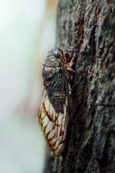 **Bioakustyka a tradycyjne metody monitoringu dobrostanu zwierząt: Porównanie efektywności i kosztów.**